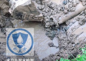 辽源水管漏水检测公司5